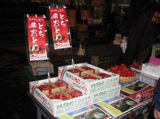 2010032203.JPG