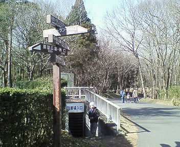 森林公園