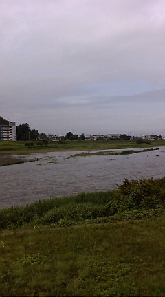 今日の渡良瀬川（２００７年６月１１日）