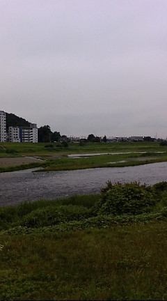 今日の渡良瀬川（２００７年６月２５日）