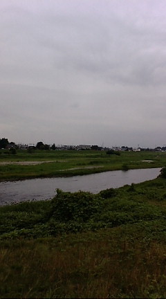 今日の渡良瀬川（２００７年７月９日）