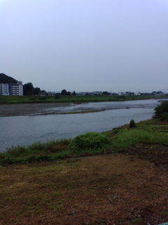 今日の渡良瀬川（２００７年１０月１日）