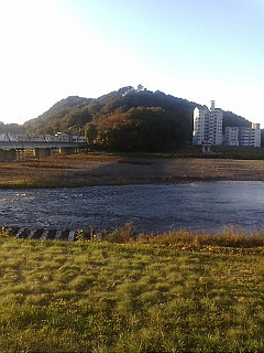 今日の渡良瀬川（２００７年１１月１２日