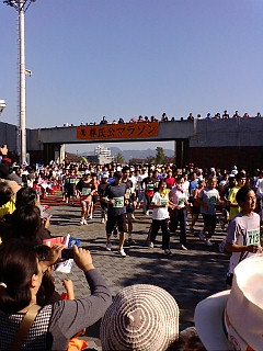 20081102094054.jpg
