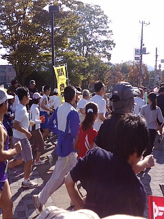 20081102094110.jpg