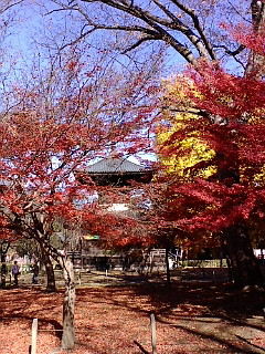 20081130105859.jpg