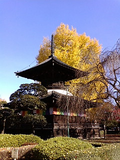 20081130110015.jpg