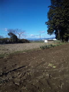 2009020202.jpg